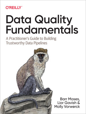 cover image of Data Quality Fundamentals
